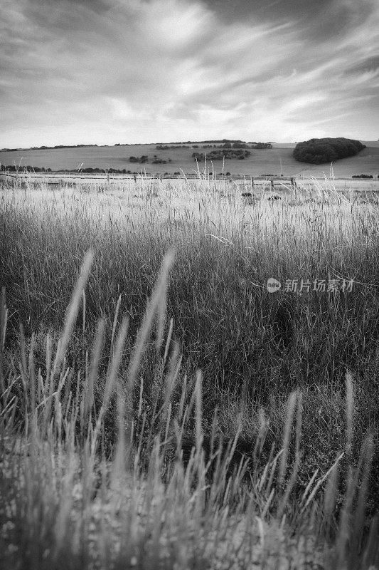 七姐妹郊野公园，Cuckmere Haven，东苏塞克斯，英国